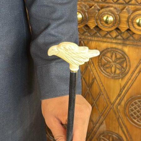 عصا الخيل رمادي صغير